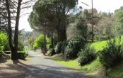 Randonnées Pyrénées Orientales sur la route de Montbolo